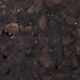 C01 - sughero nero